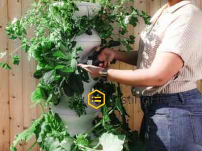 Landscaping and gardening