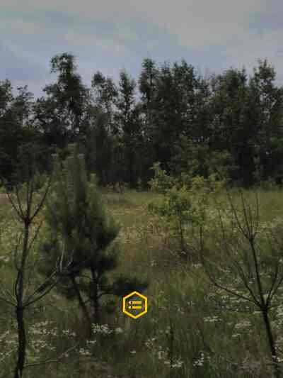 Земельна ділянка