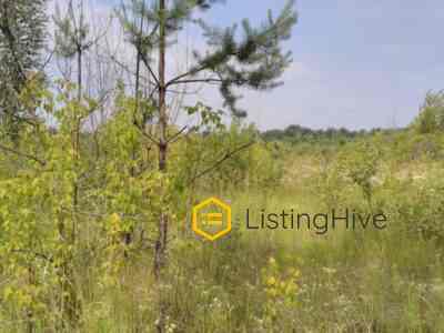 Земельної ділянки с. Святопетрівське Києвської